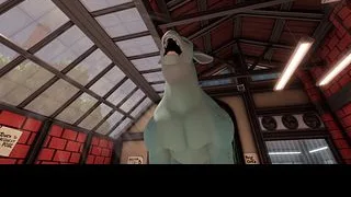 short 6 [dragon wash]