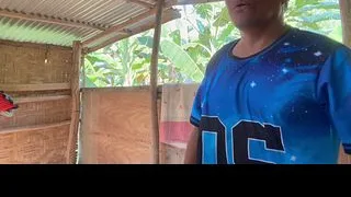 Jakol