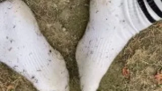 Dirty Socks Tease Knee High Socks Adidas Trailer