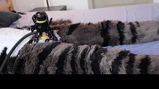Fursuiter gets milked and overstimmed using a Venus 2000
