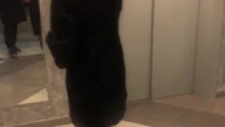 Juicy Milf sucked me in the elevator and invite to finish at her house