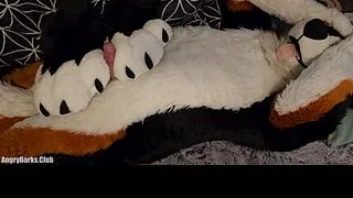pawslut puppy gets back to back pawjobs with massive 2nd cumshot at the end